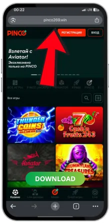 Указание на регистрацию PINCO