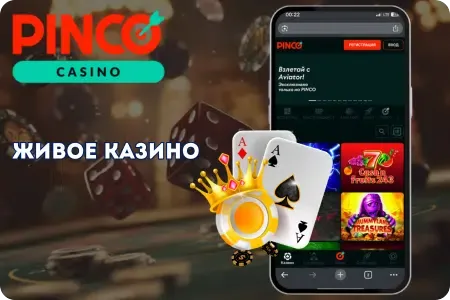 Живое казино с дилерами