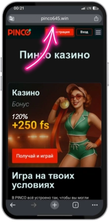 Перейти на сайт Pinco